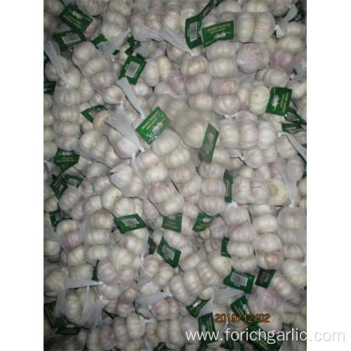 Normal White Garlic Hot Sale